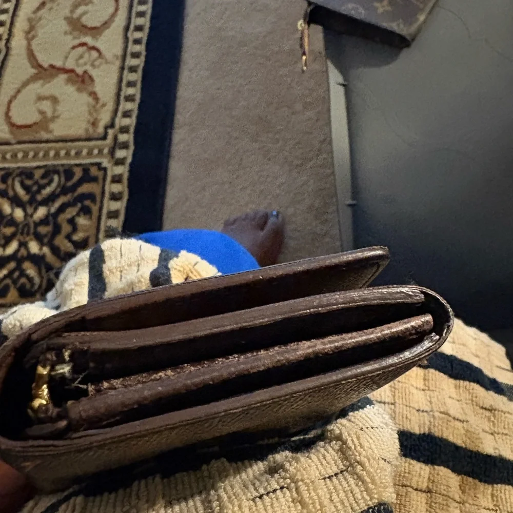 Project Louis‎ Vuitton Damier Ebene